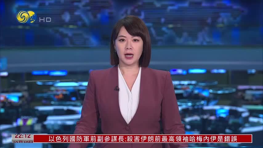 南非地方选举民调：民主联盟力压非国大