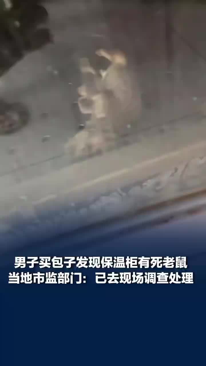 男子买包子发现保温柜有死老鼠，当地回应早餐店保温柜被拍到死老鼠：已去现场调查处理