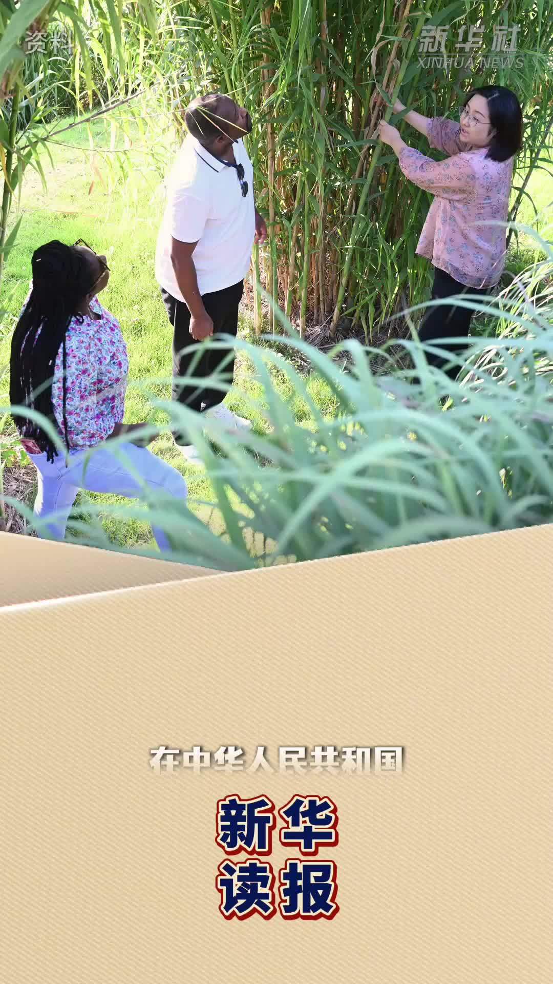 新华读报丨77载岁月见证中国全球影响力跃升