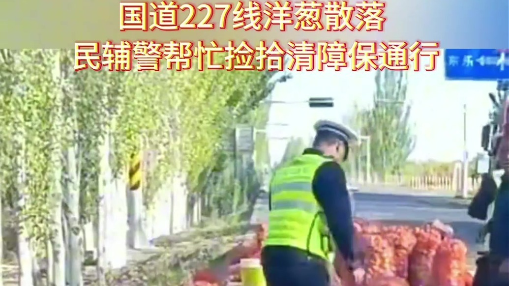 国道上洋葱散落一地　他们帮忙捡拾太暖了