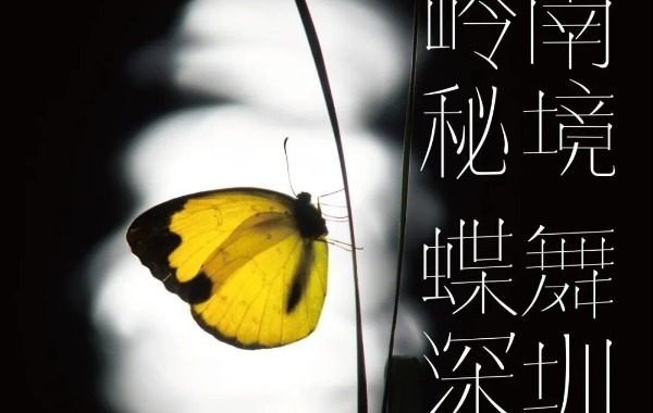龙华，藏着一个“文体天团”！