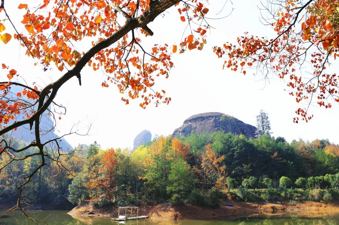 龙虎山 | 图:公众号“江西龙虎山景区”