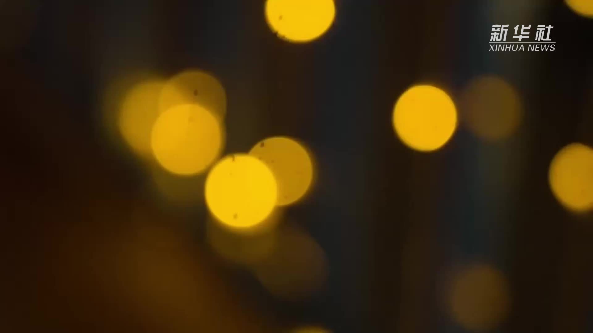上海金山：海上焰火点亮假日夜空