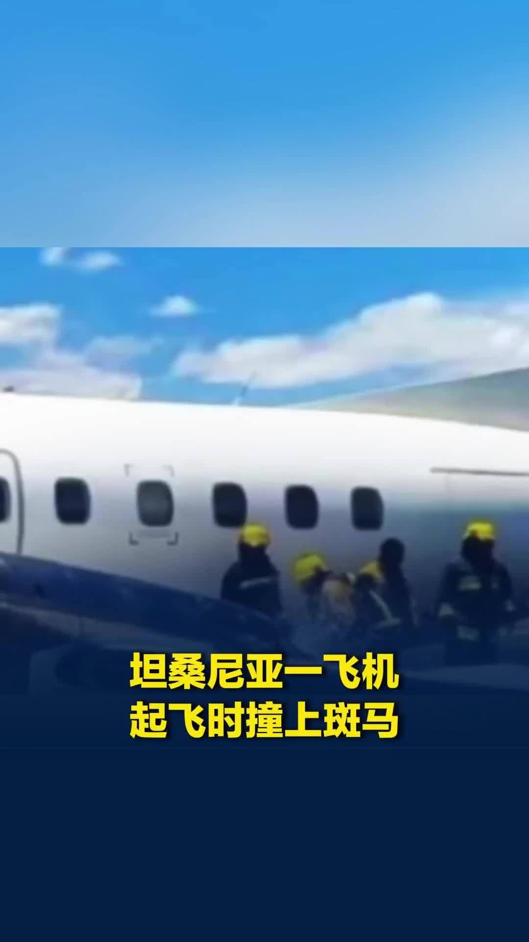 起飞时撞上野生斑马！坦桑尼亚一架小飞机起落架损坏，机腹着地擦地滑行