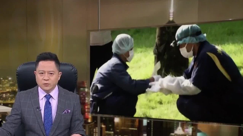 驻日美军涉命案，高市只敢遗憾不敢见记者