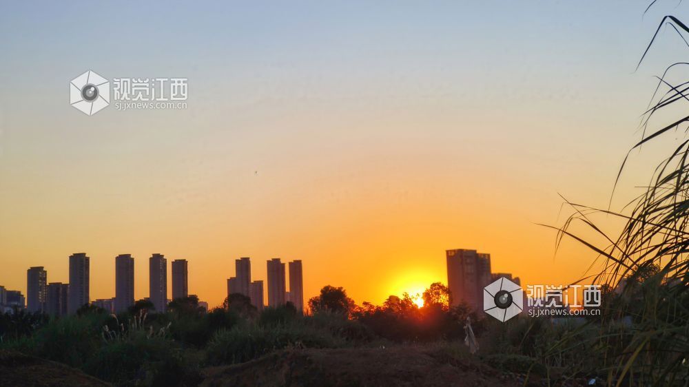 2026年10月8日，江西省宜春市袁州新城，夕阳缓缓下沉，金色霞光笼罩城市楼宇，旷野草木与现代高楼同框，勾勒秀江沿岸城市黄昏画卷。