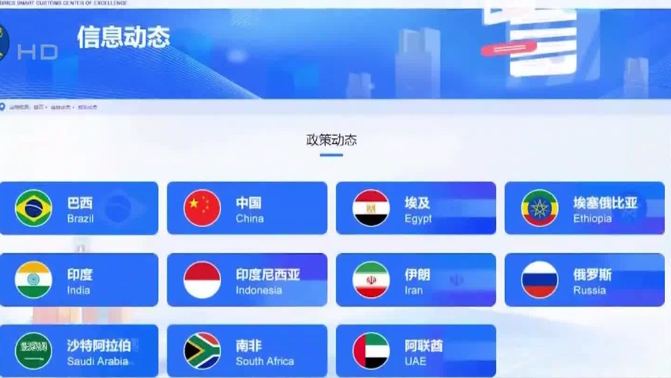 加纳内阁批准申请加入金砖国家