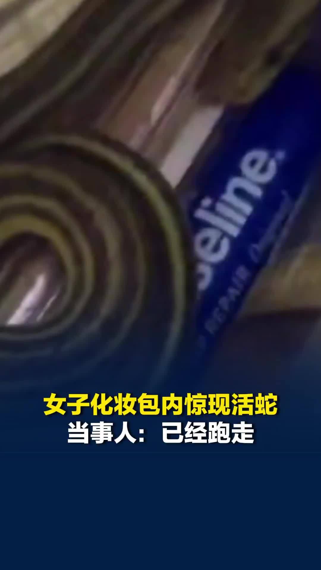 河北石家庄一女子化妆包内惊现活蛇，当事人：已经跑走，不知道是否还在家
