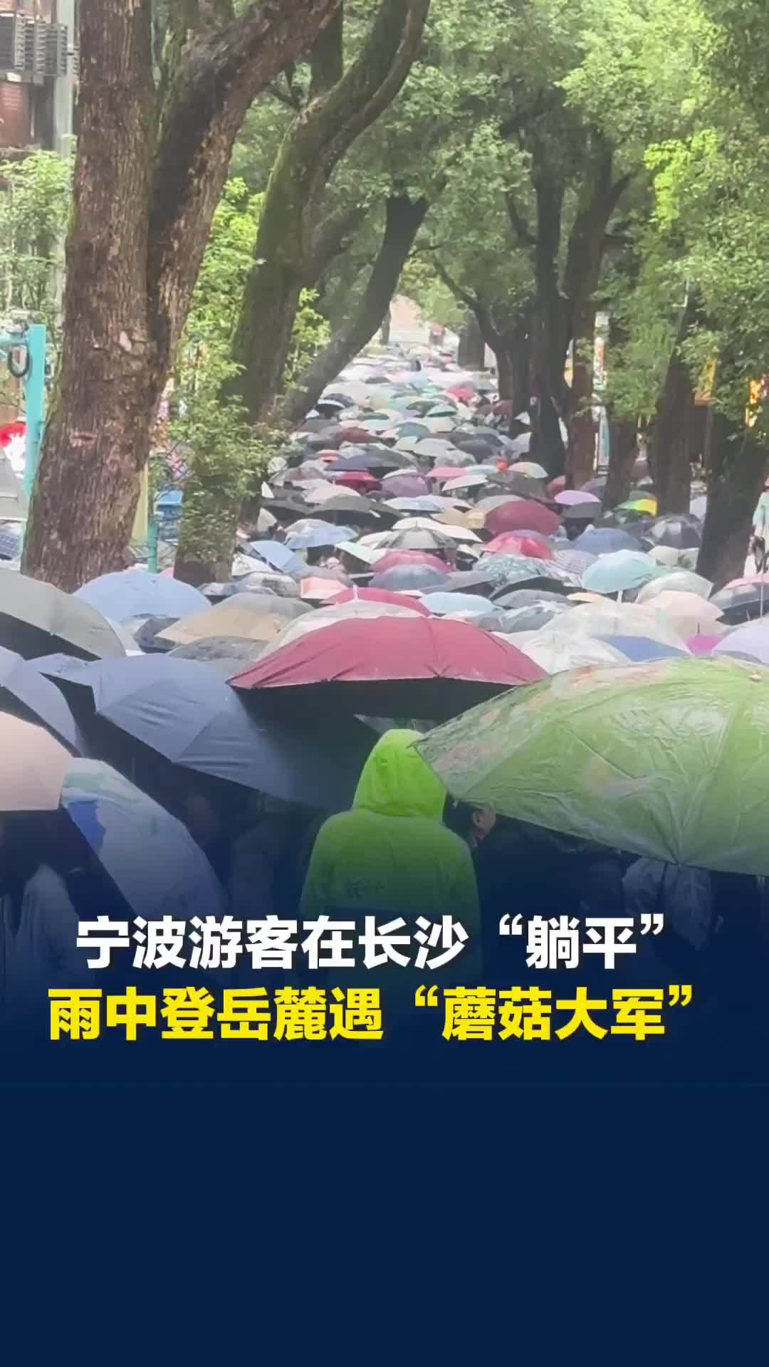 宁波游客在湖南实现“躺平”心愿，雨中爬岳麓山遇“蘑菇大军”