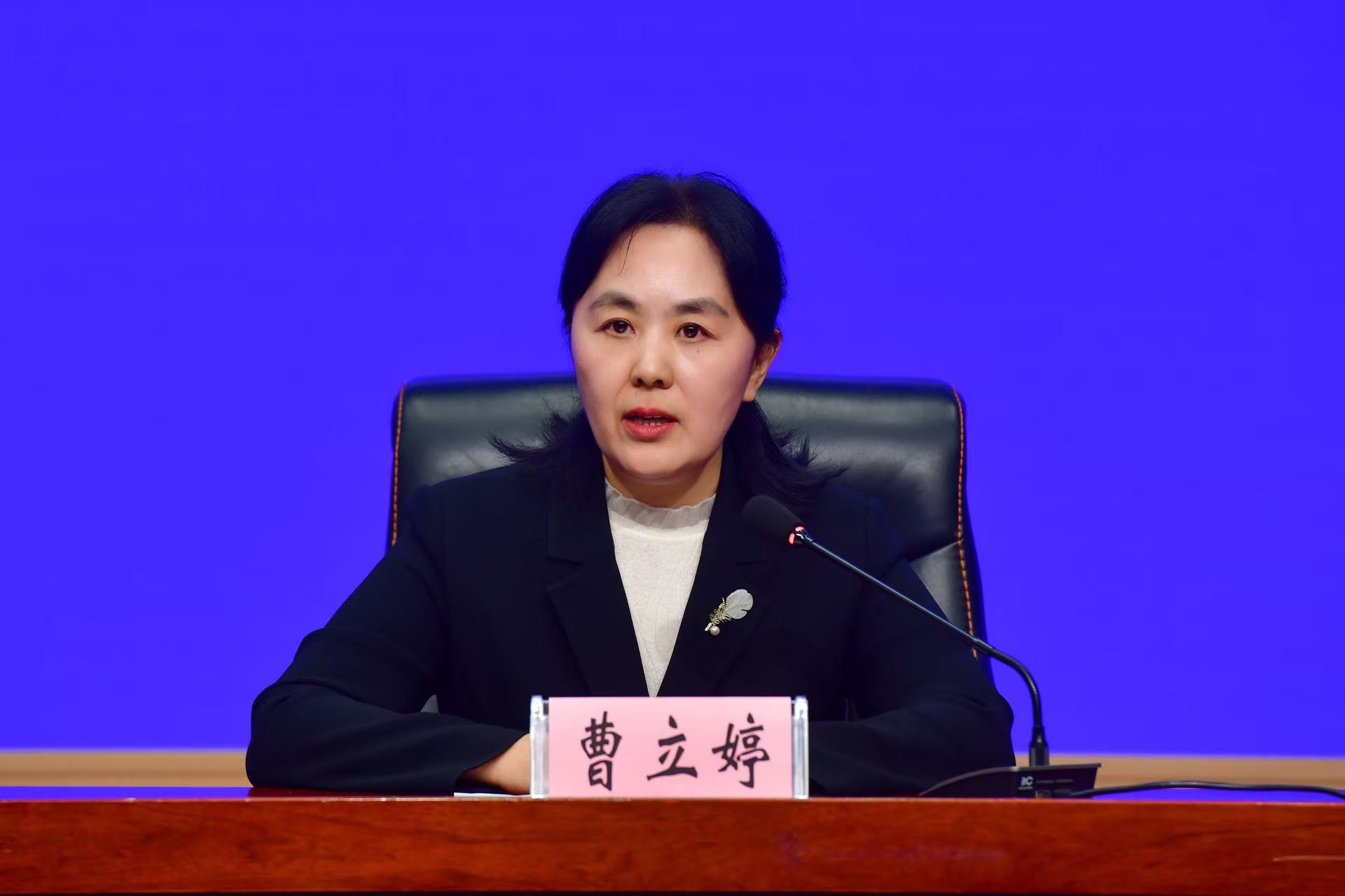 黑龙江省司法厅二级巡视员 曹立婷