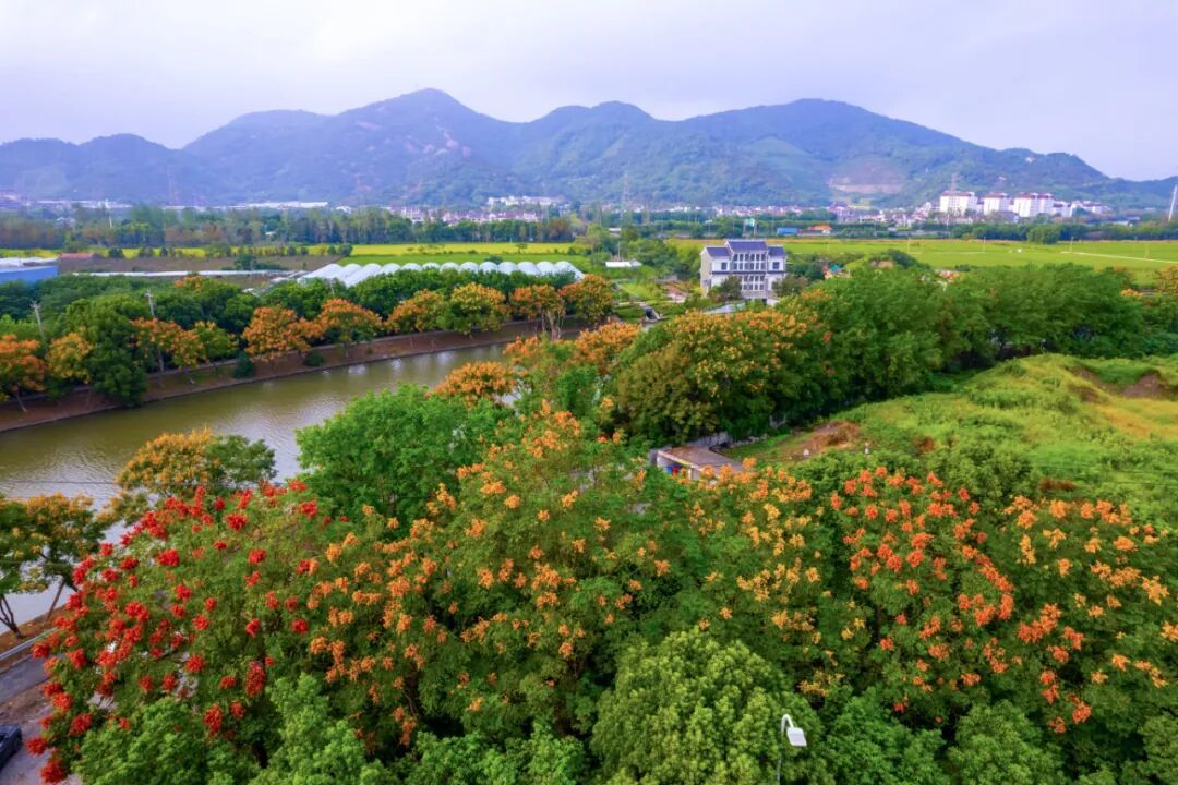 DJI_0511.jpg