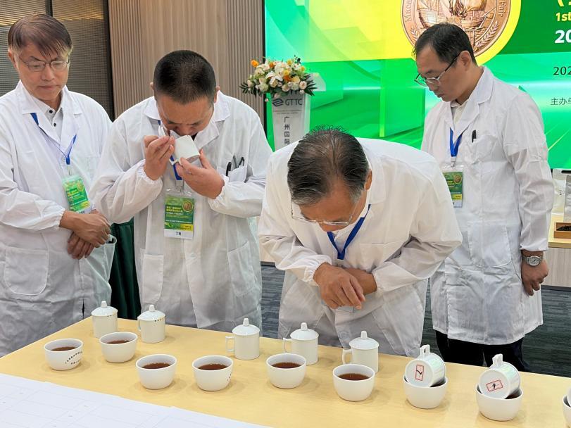 (专家审评茶汤)