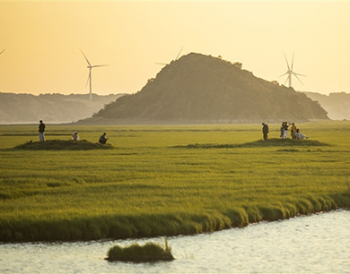 鄱阳湖湿地：金秋赏“草海”