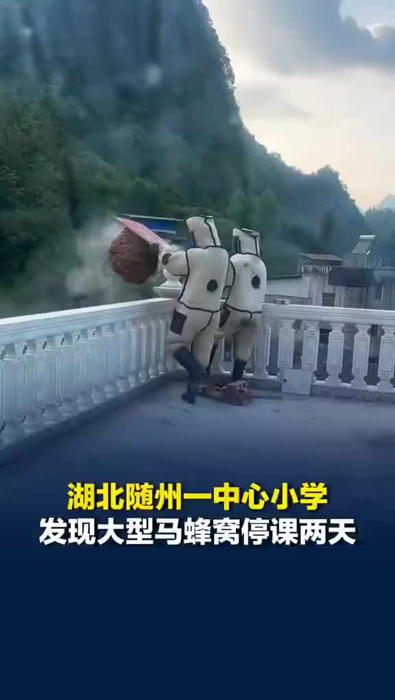 小学发现大型马蜂窝停课2天，小学发现大型马蜂窝2名老师被蜇
