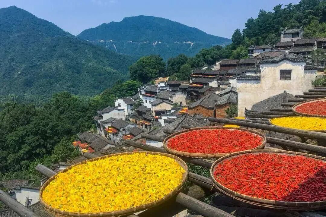 婺源篁岭晒秋。
