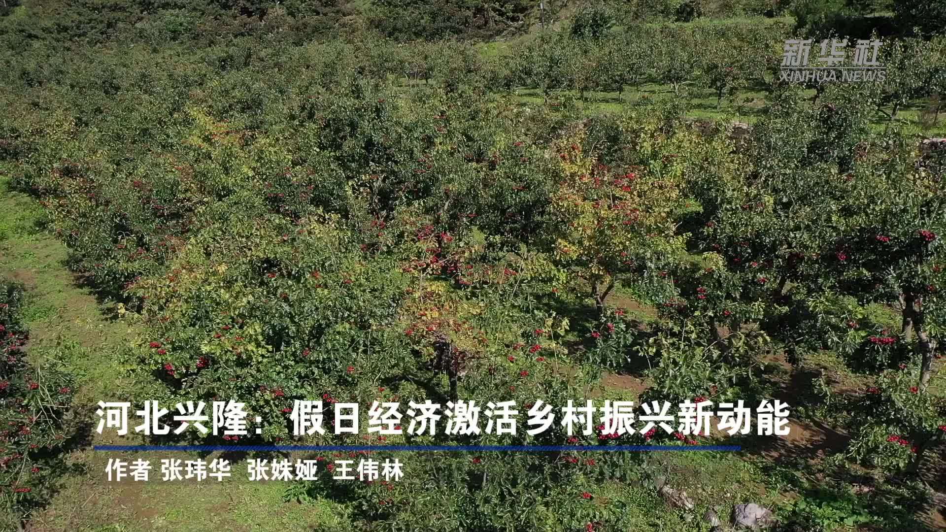 河北兴隆：假日经济激活乡村振兴新动能