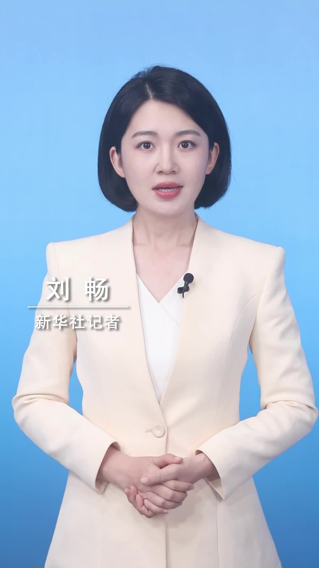 新华社消息｜外交部：敦促美方与中方平等对话协商应对网络安全风险