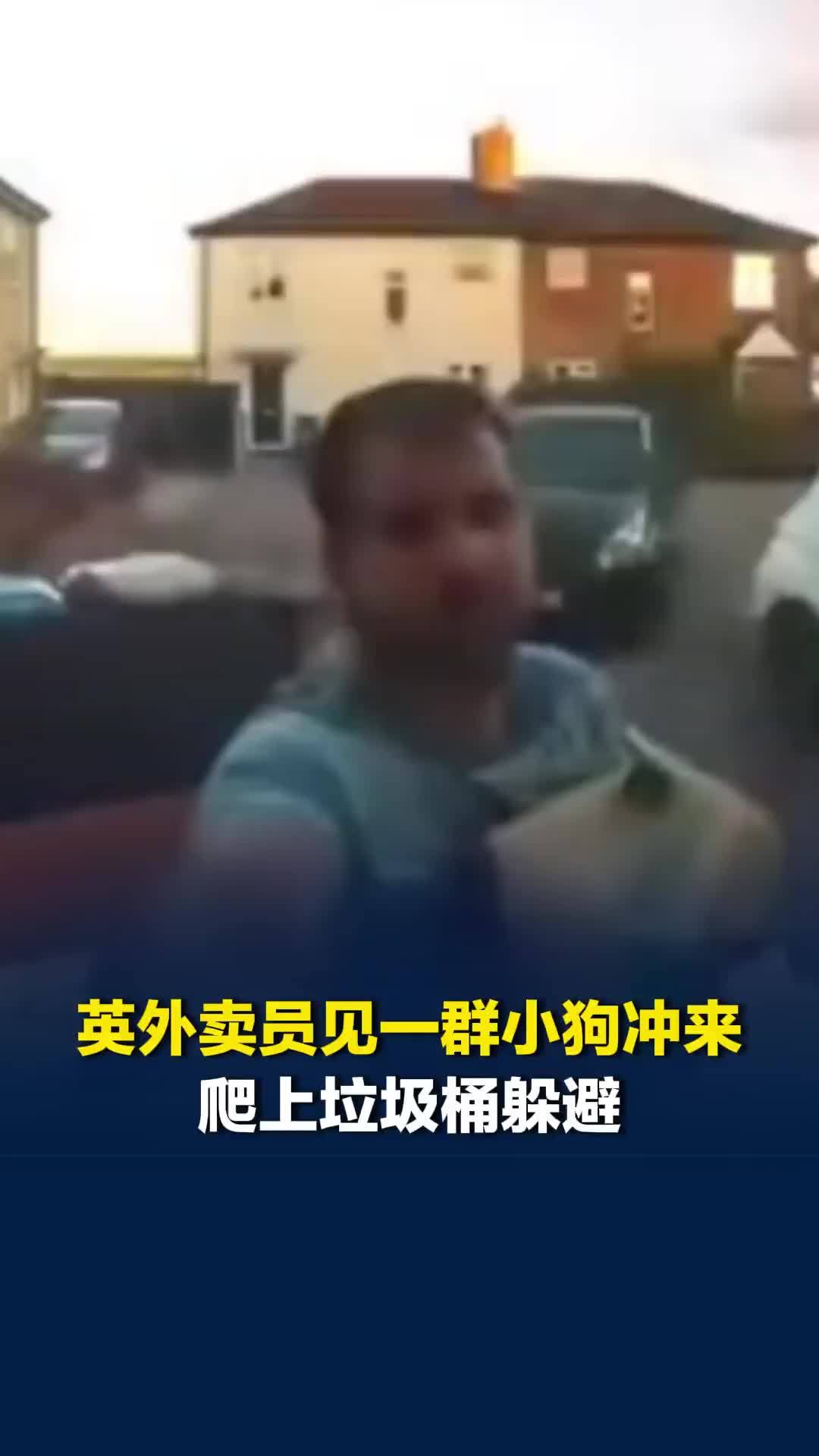 英外卖员送餐时刚按完门铃，见一群小狗冲过来忙扔下食物，一路小跑爬上垃圾桶躲避