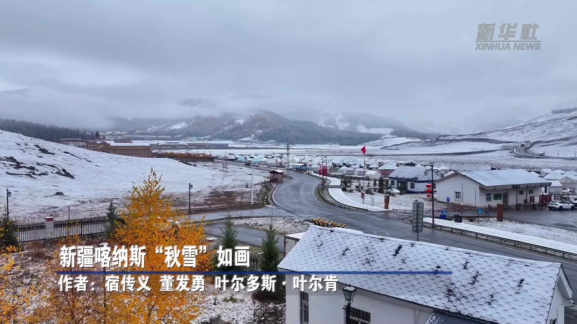新疆喀纳斯“秋雪”如画