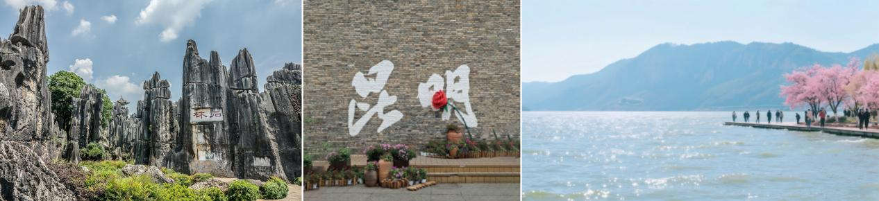 图片36.png