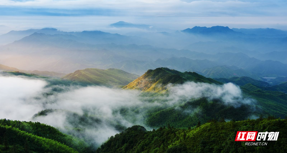 浏阳大围山国家森林公园。资料图.png