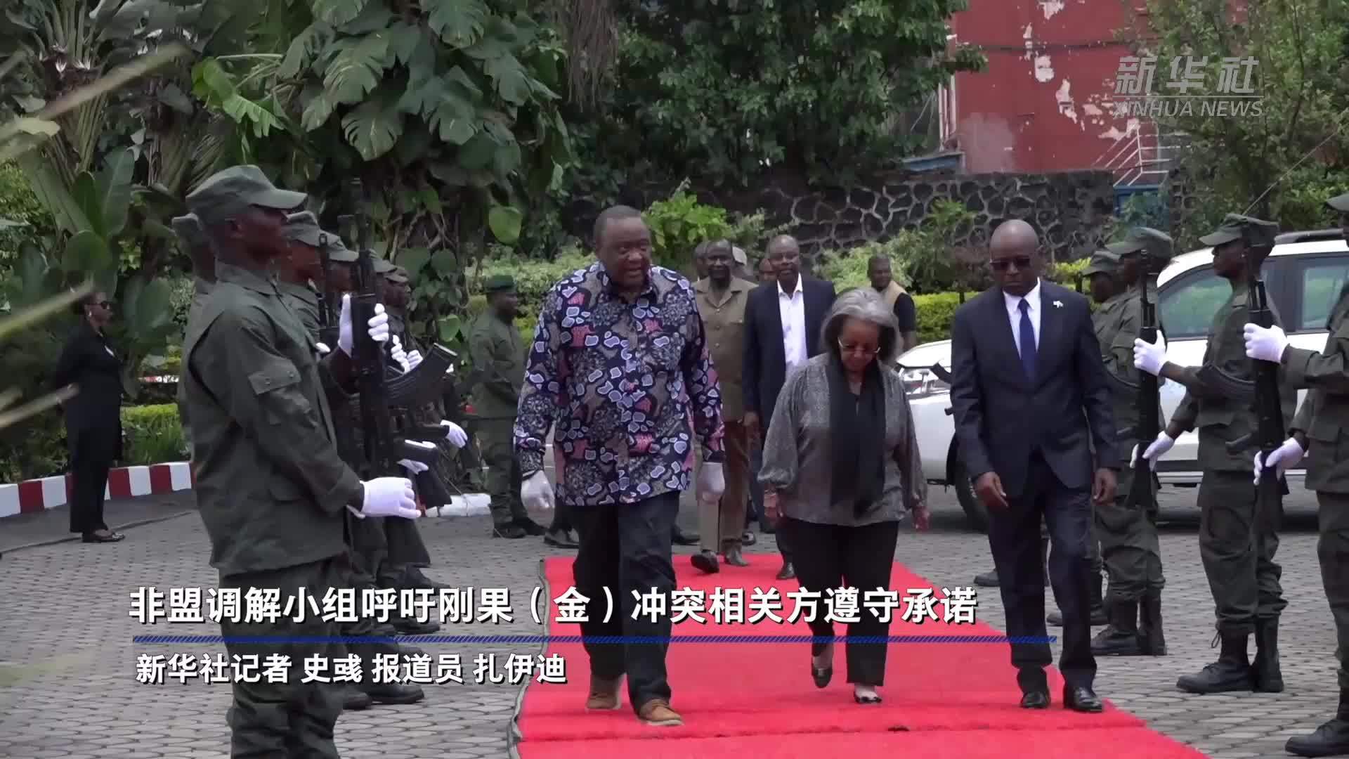 非盟调解小组呼吁刚果(金)冲突相关方遵守承诺