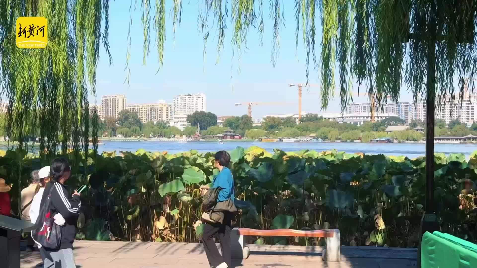 假期尾声遇暖阳，济南大明湖畔游客漫步赏秋光