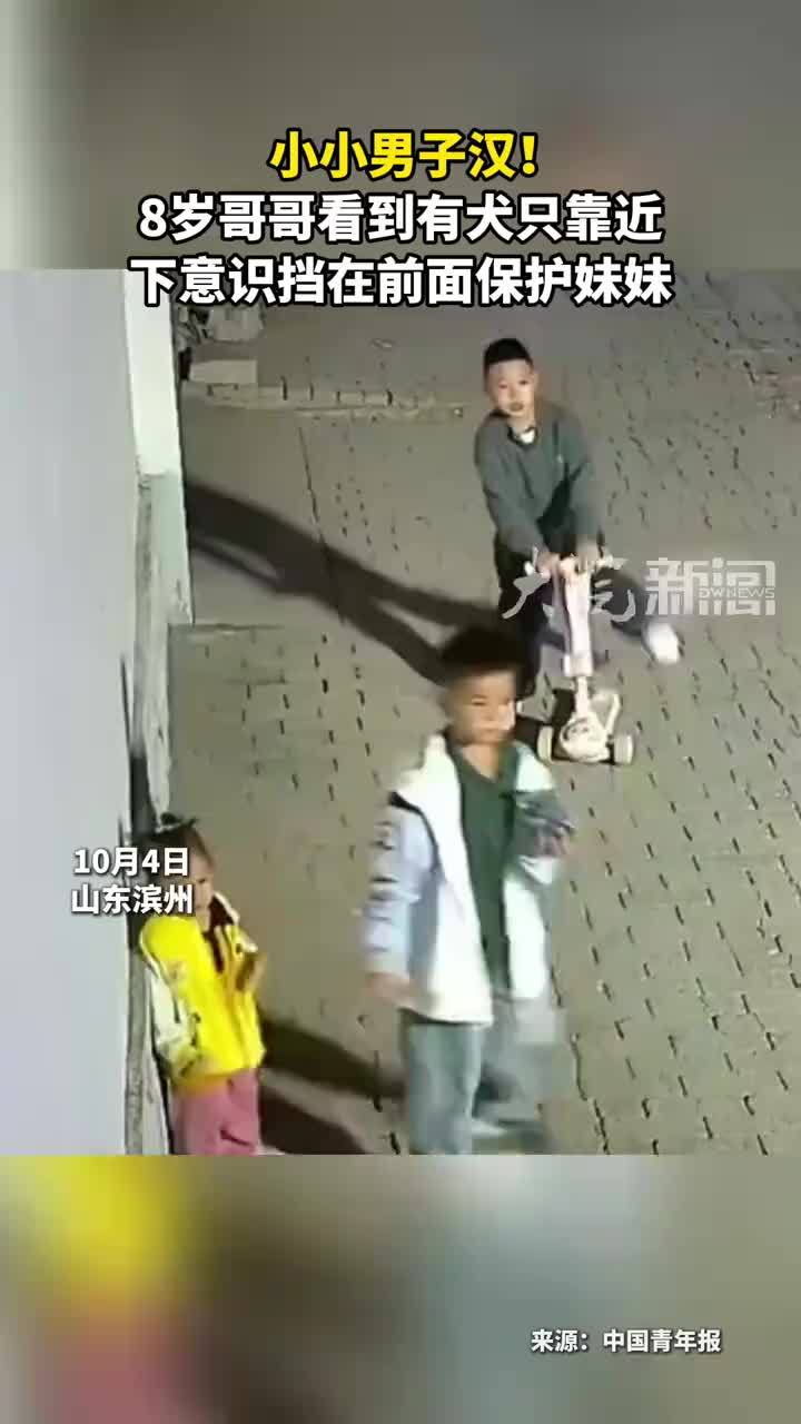 小小男子汉！8岁哥哥看到有犬只靠近 下意识挡在前面保护妹妹