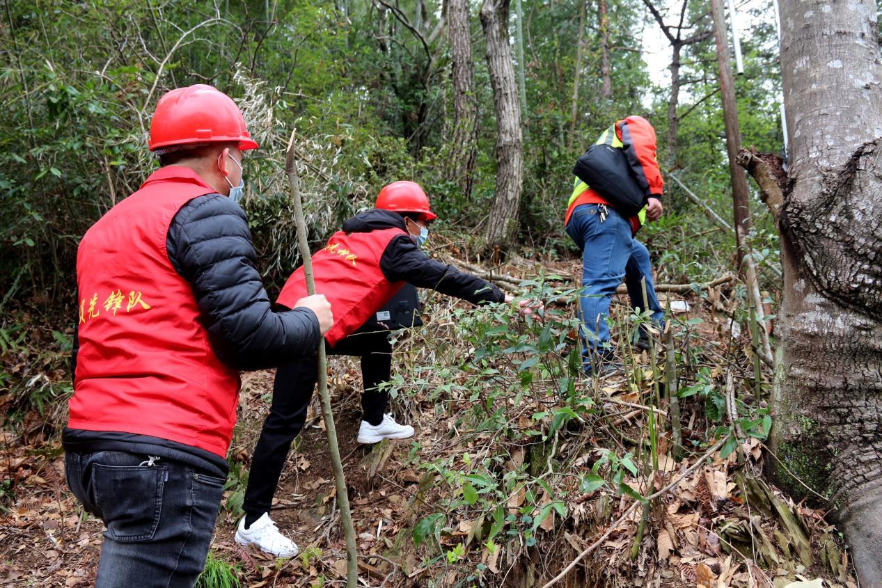 (网络建设先锋队徒步穿越山林,实地踏勘基站选址与线路走向)