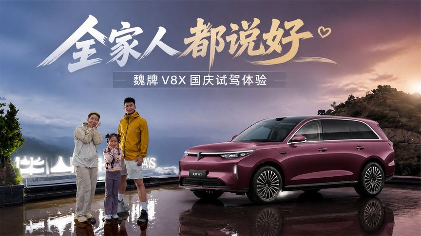 全家人都说好，魏牌V8X真六边形战士