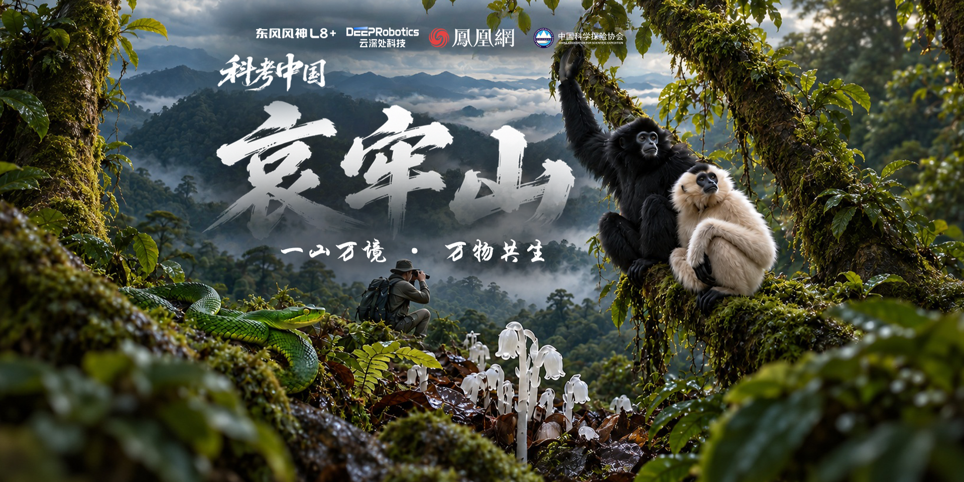 一山万境，万物共生。哀牢山的答案，比想象更惊人！