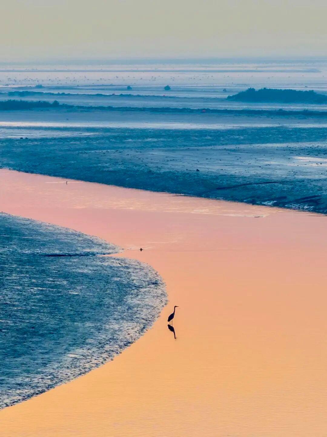 图|小红书 郑杰