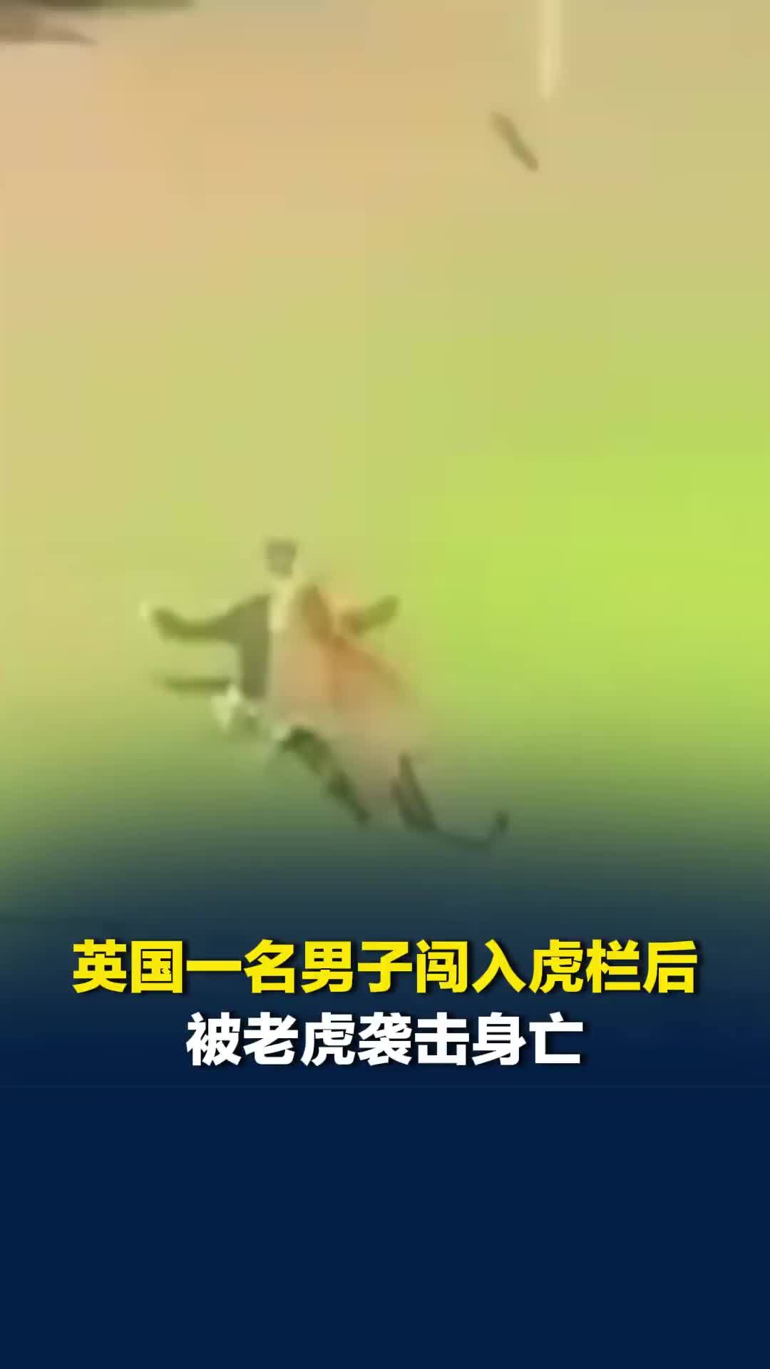 英国一名男子闯入虎栏后被老虎袭击身亡，当地警方回应