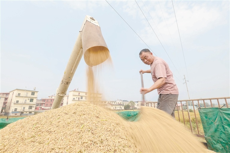 庐山市：喜获丰收（图）