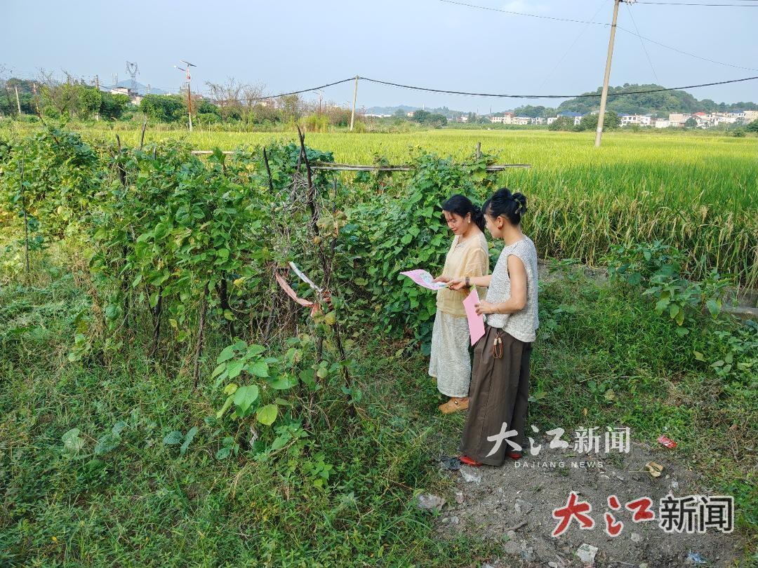 江西萍乡：秋收正酣 环保护绿同发力（图）