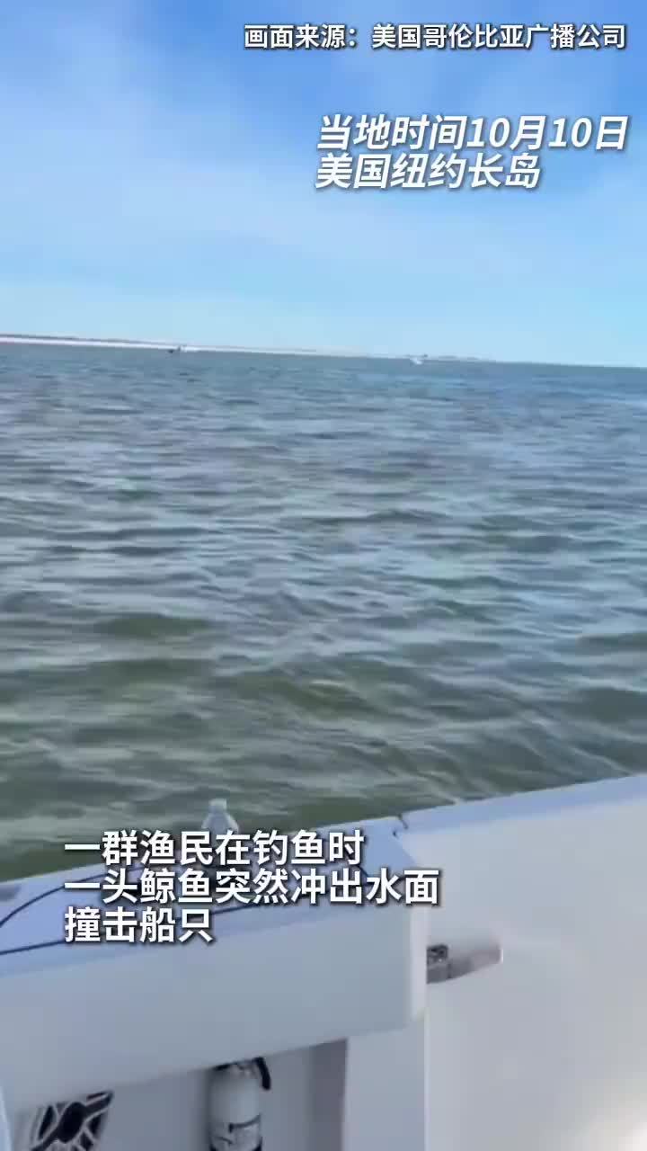 座头鲸跃出海面撞开船门
