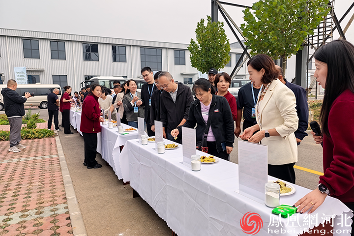 秦皇岛卢龙：甘薯产业大会 “新品种新技术新市场”激活富民强县新“薯”光
