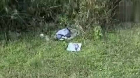 加拿大鹅就拍摄遗留垃圾致歉加拿大鹅回应拍广告遗留大量垃圾 加拿大鹅回