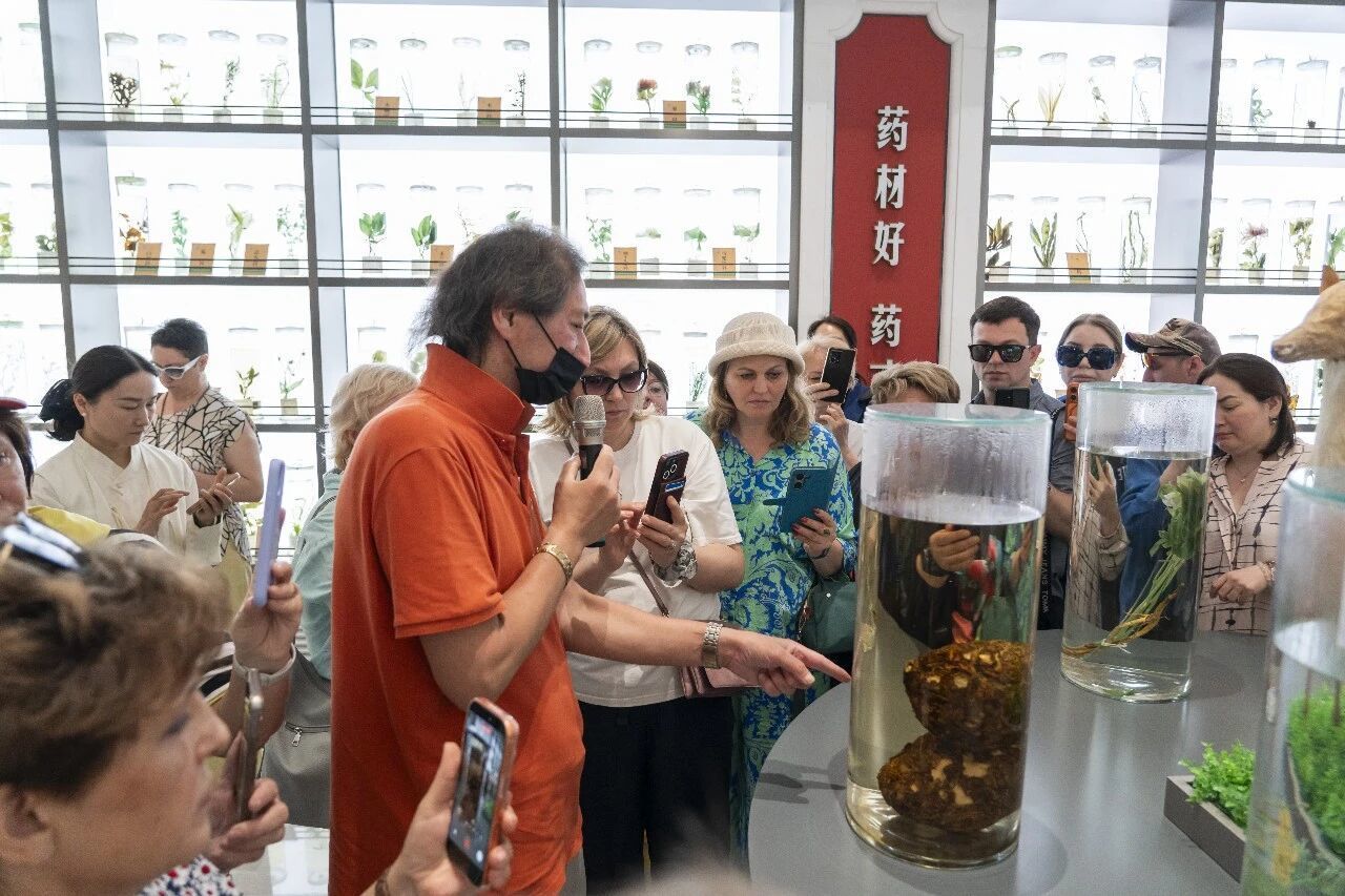 当俄罗斯人遇见仲景 会碰撞出怎样的火花?