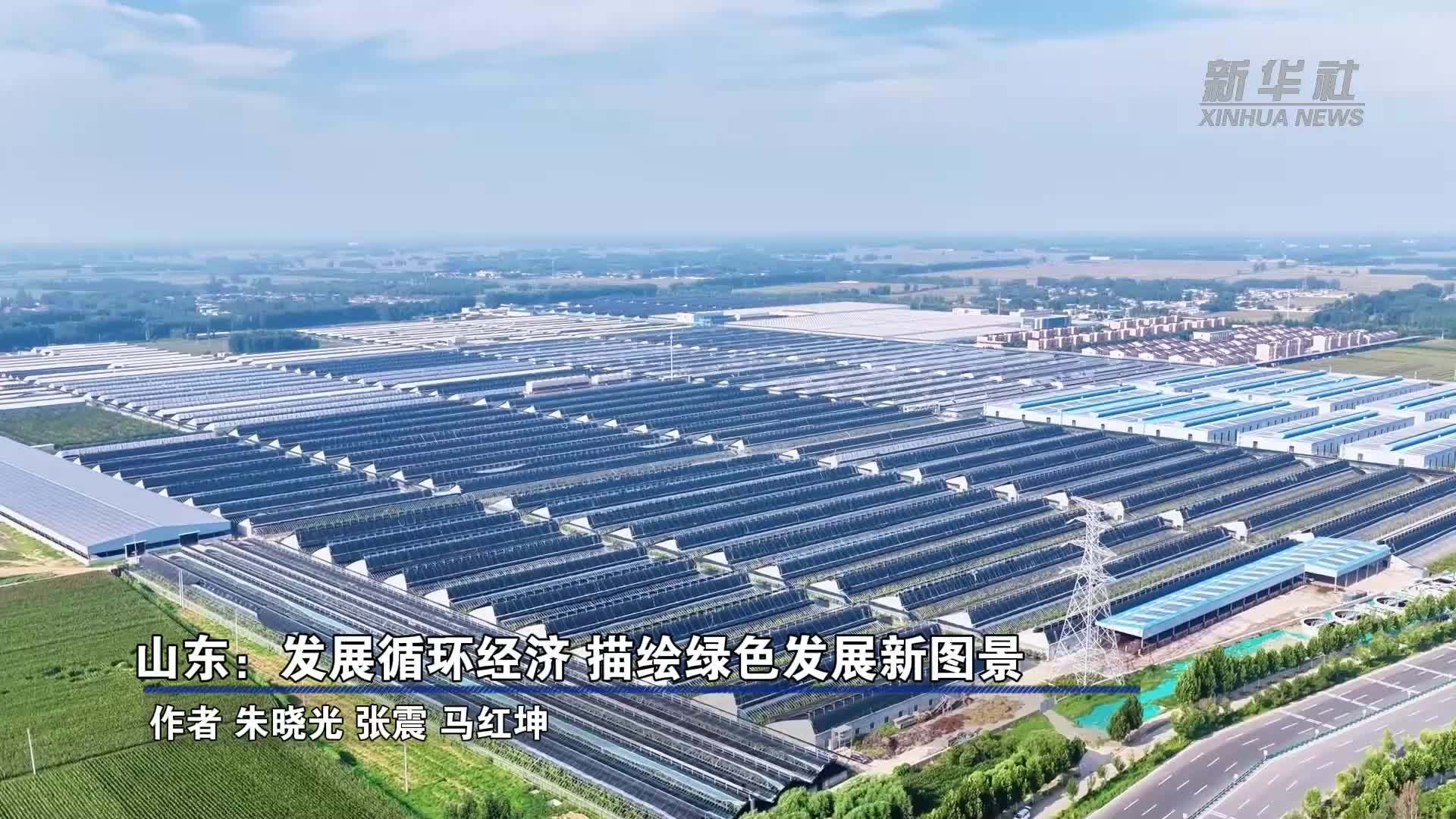 山东：发展循环经济 描绘绿色发展新图景