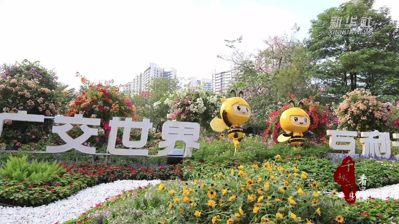 千城百县看中国｜广州海珠：花景迎广交 商机汇琶洲