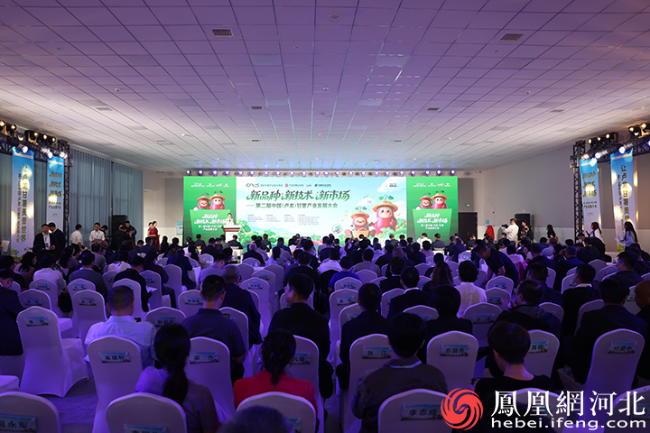秦皇岛卢龙：甘薯产业大会 “新品种新技术新市场”激活富民强县新“薯”光