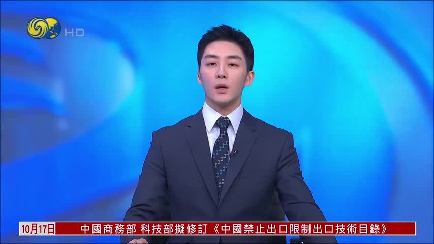 印尼股市周五暴跌逾11% 28年最大跌幅