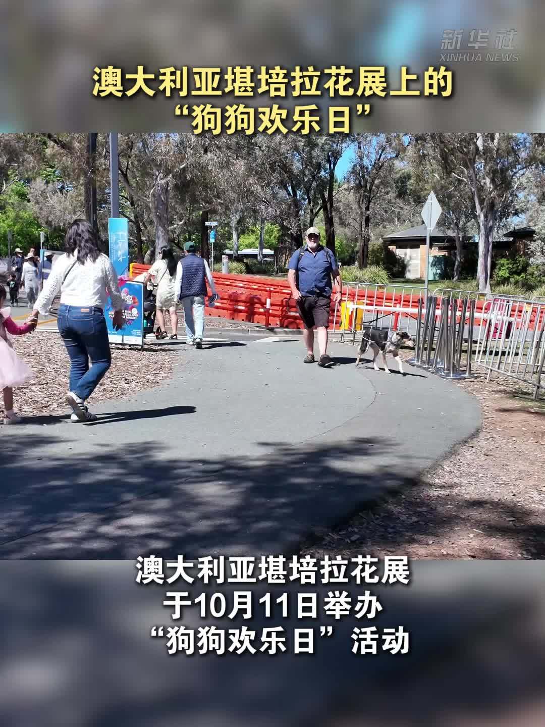 澳大利亚堪培拉花展上的“狗狗欢乐日”