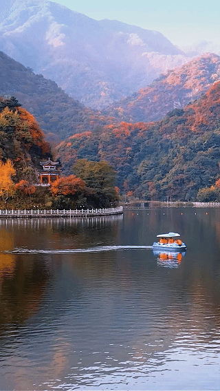 网络中国节·重阳|秋染秦岭 登高怀远