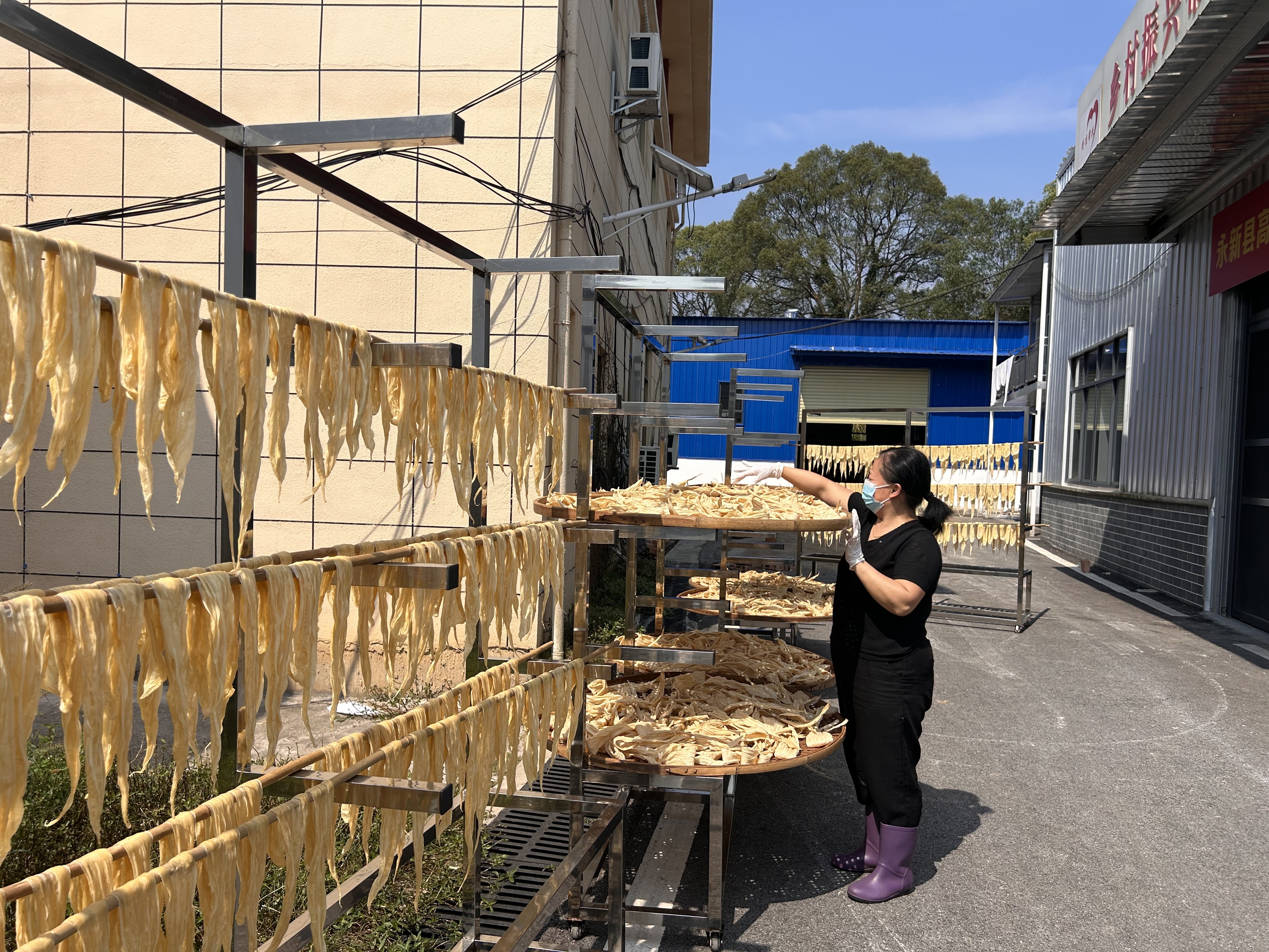 永新高溪：一根腐竹拓宽群众增收新门路