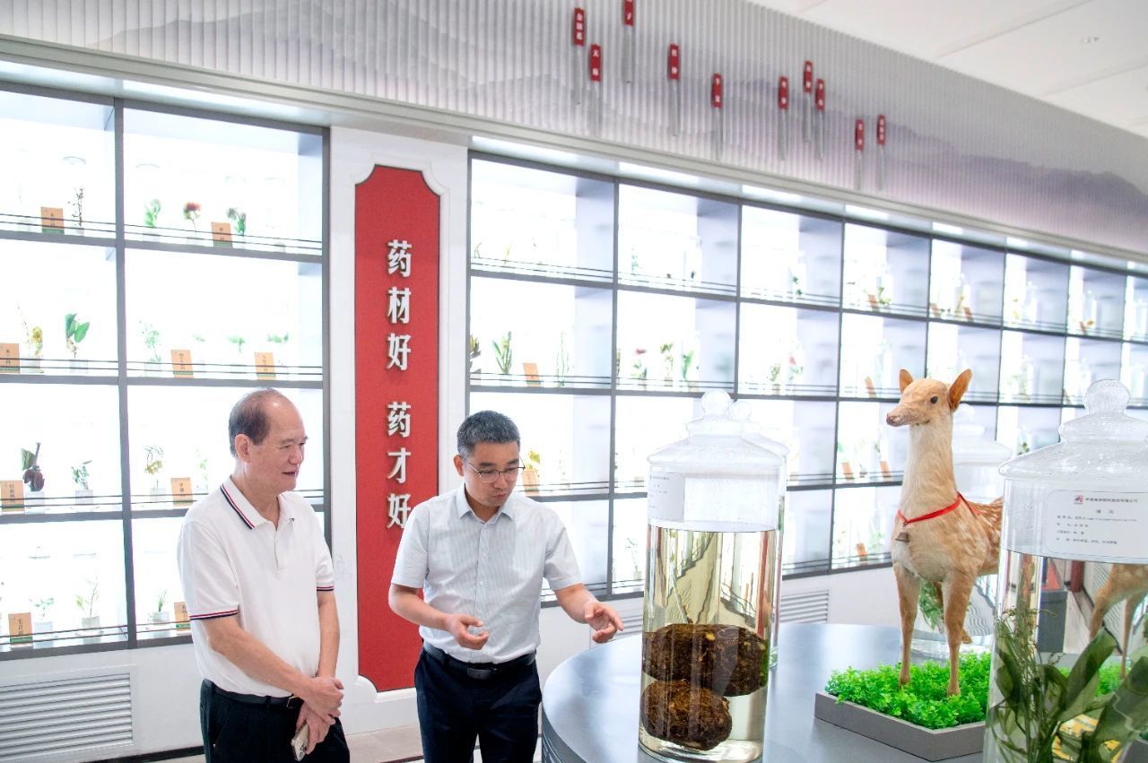 八千里路牵情谊 狮城嘉宾汇仲景 新加坡中医药界友人访问仲景宛西制药