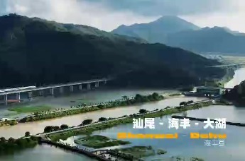 深圳驻海丰大湖帮扶工作队牵线搭桥 多方联动讲好大湖故事