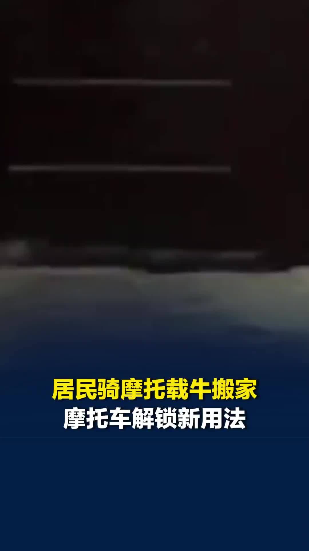 广西一小区有蛇在居民家门口徘徊，疑似下山捕食鼠类