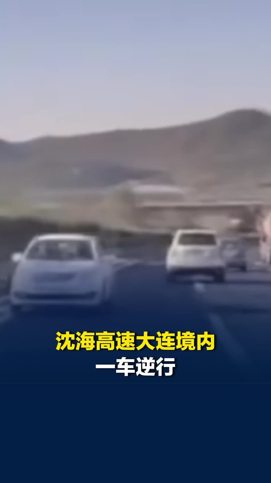 沈海高速大连境内一车逆行，目击者：很远发现后赶紧打方向避让